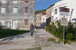 Old Friends, Susak, 2010